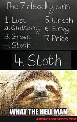 The 7 deadly sins
1. Lust 5. Wrath
2.Gluttony 6. Envy
3.Greed Pride
4. Sloth
u. SLoth
WHAT THE HELL