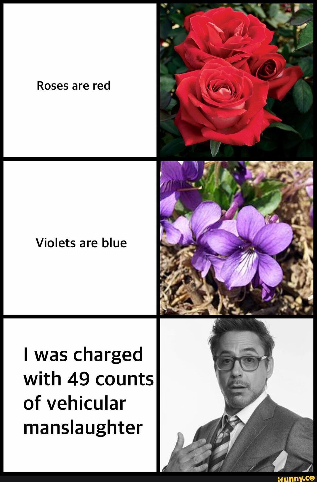 Roses are red Violets are blue was charged with 49 counts of vehicular ...
