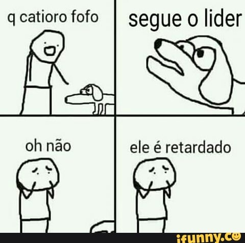 q catioro fofo
I segue
o lider