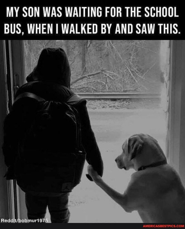 MY SON WAS WAITING FOR THE SCHOOL BUS, WHEN I WALKED BY AND SAW THIS.