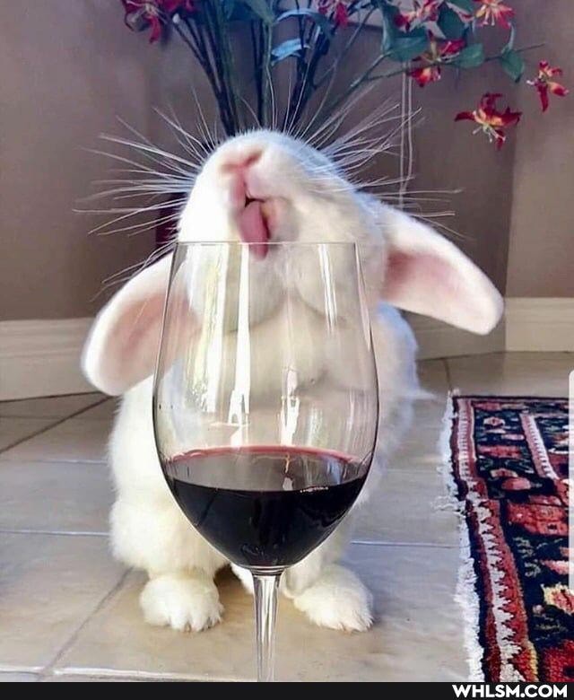 aww, smile