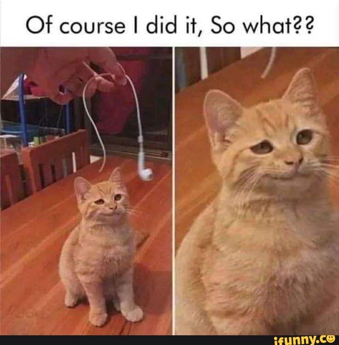 Of course I did it, So what22