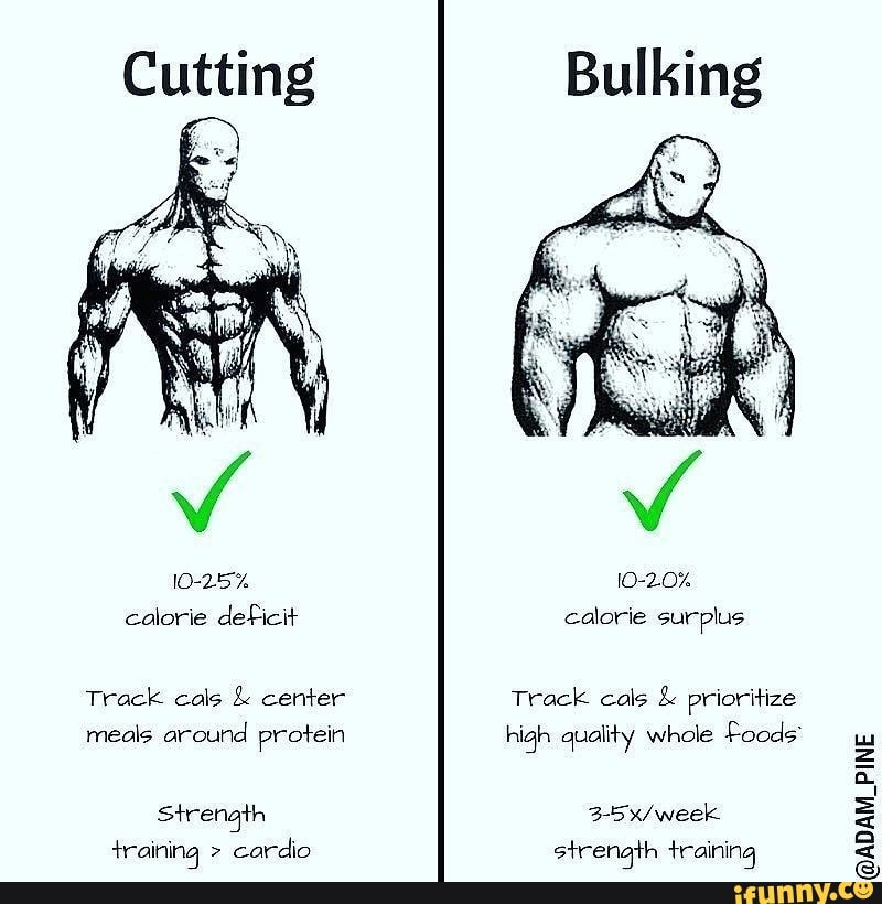 Cutting 1025 calorie deficit Track cals & center meals around protein