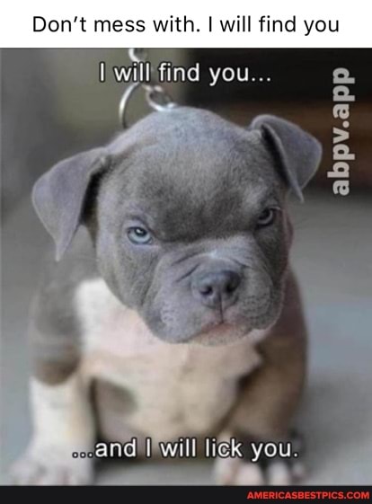 Don't mess with. I will find you
will find you...
abpv.app
and will lick you.
fa _