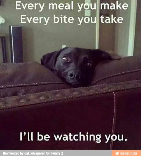I' ll be watching you.