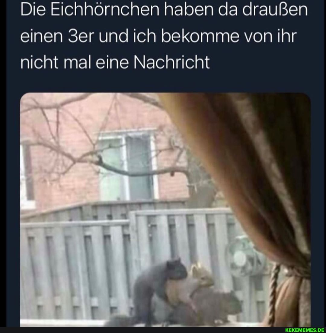 Die Eichhörnchen haben da draußen einen und ich bekomme von ihr nicht mal eine Nachricht