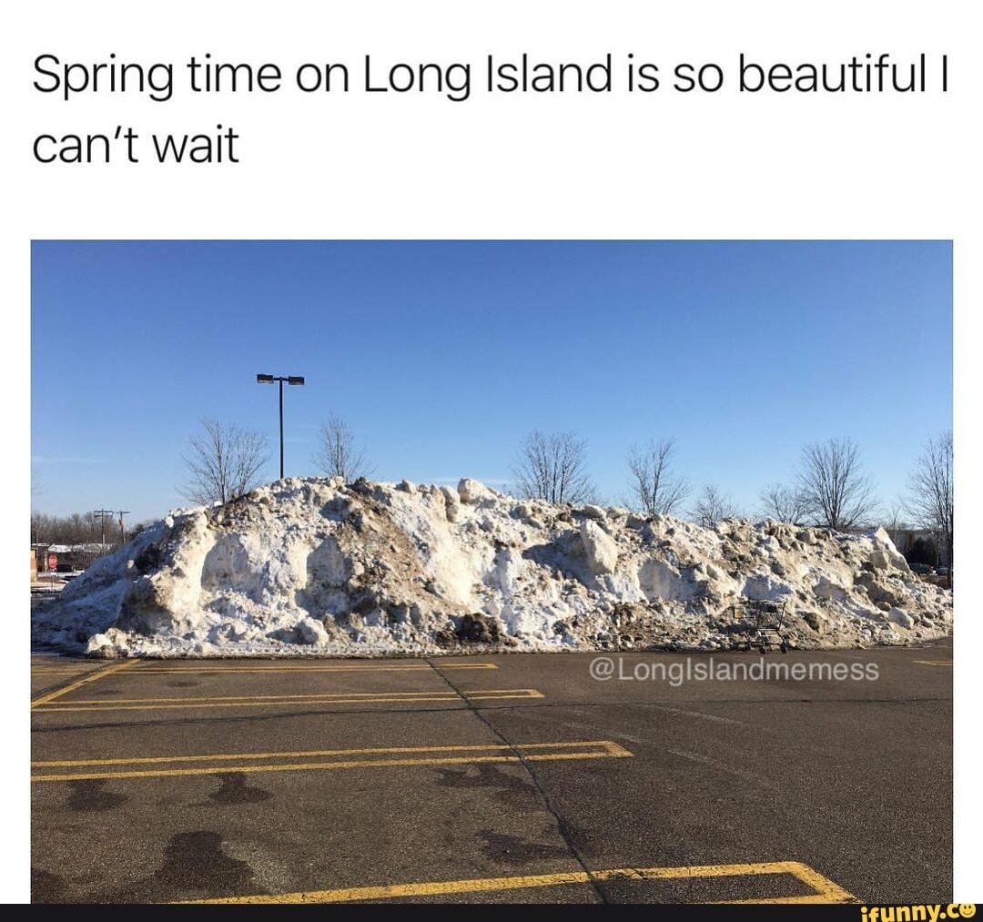 Spring time on Long Island is so beautiful I Longlslandmemess can't