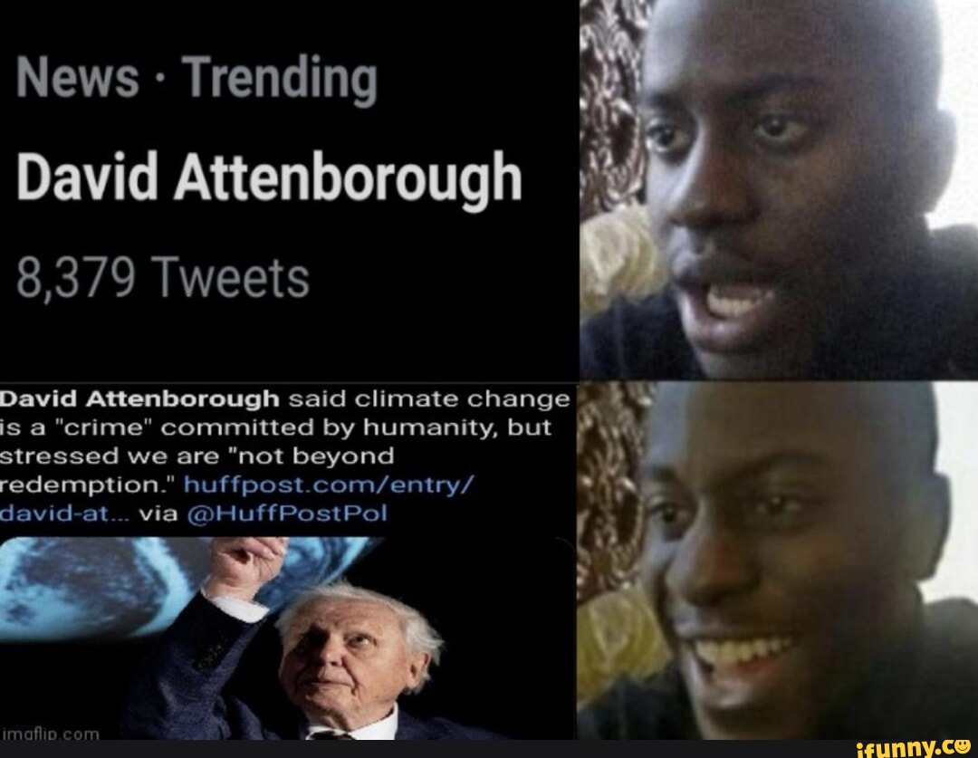 david-attenborough-memes