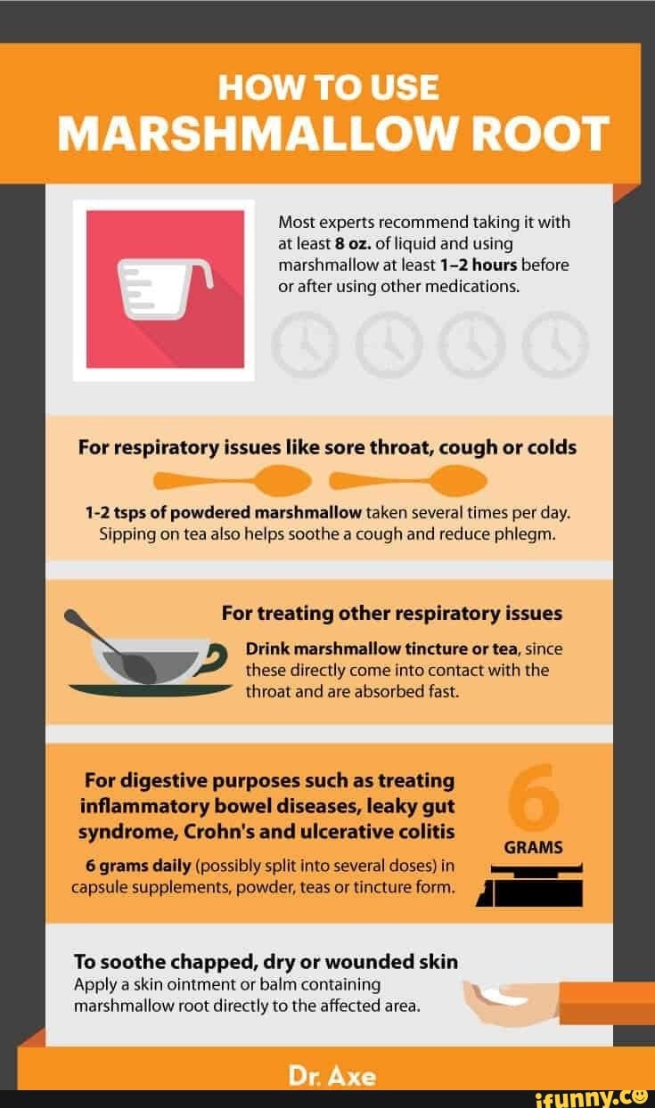 HOW TO USE MARSHMALLOW ROOT Most experts taking it with at least 8 oz. of liquid and