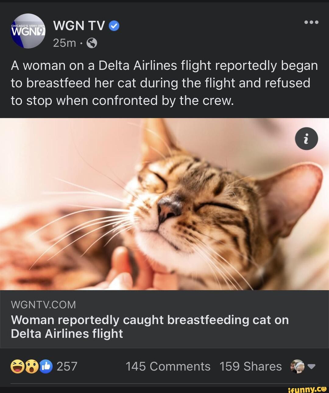 a woman on a delta airlines flight reportedly began to breastfeed her cat during the flight