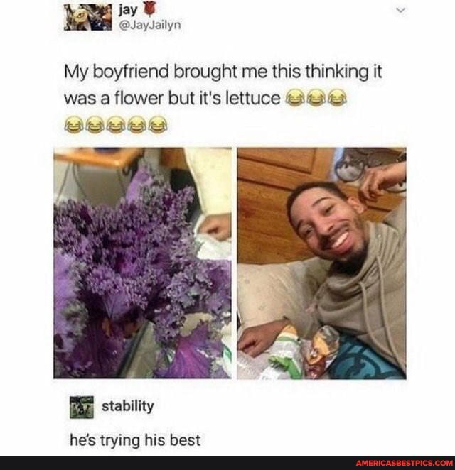 My boyfriend brought me this thinking it was a flower but it's lettuce
stability