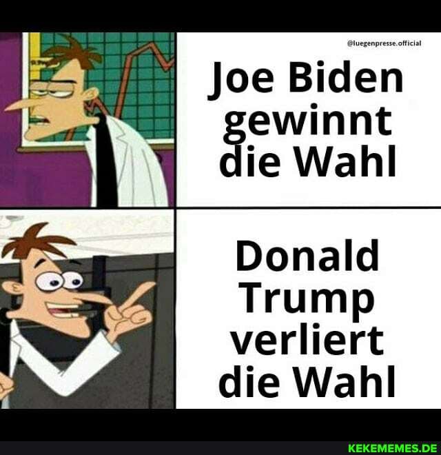 Joe Biden gewinnt ie Wahl
Donald
Trump
verliert die Wahl