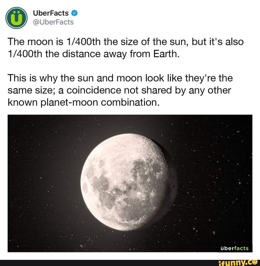 HUNTER HUNTER Hiatus Chart )