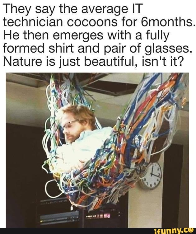 They say the average IT technician cocoons for 6months.
He then emerges with a fully formed shirt and pair of glasses.
Nature is just beautiful, isn't it?