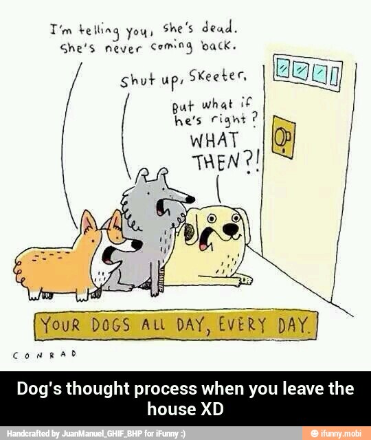Tim telling yous
she's dead.
She's never
Coming wack.
shut ups Skeeter,
put what É
WHAT
ght process when you leave the
house XD - Dog's thought process when you leave the house XD