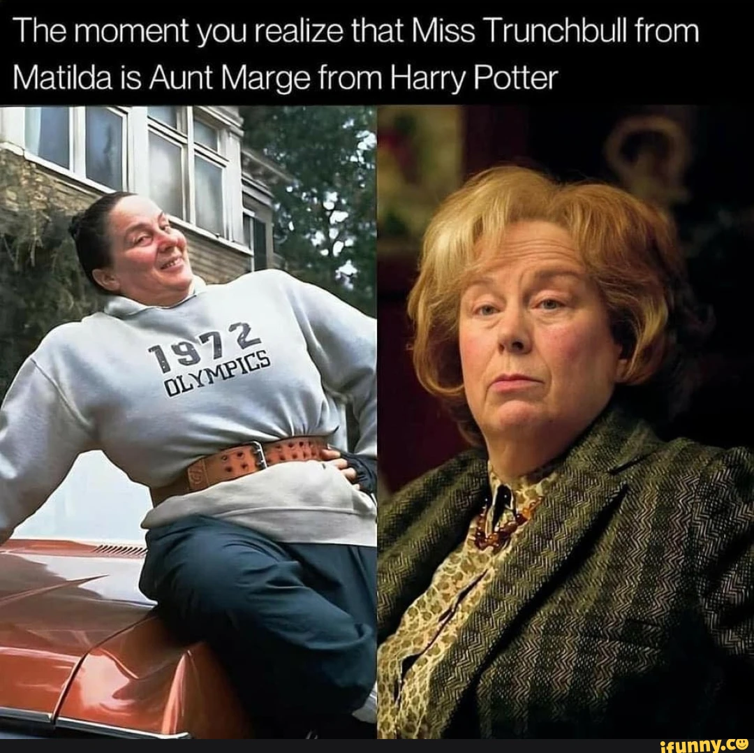 The moment you realize that Miss Trunchioull from Matilda is Aunt Marge from Harry Potter