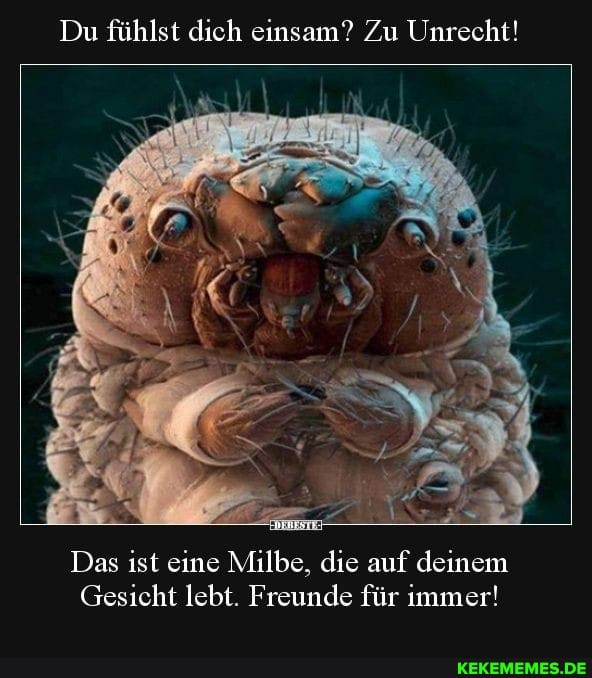 Du fühlst dich einsam? Zu Unrecht!
Das ist eine Milbe, die auf deinem
Gesicht lebt. Freunde für immer!