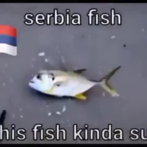 Serbia fish his fish kinda st - )