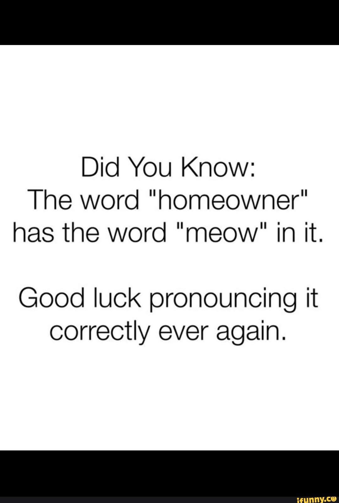 did-you-know-the-word-homeowner-has-the-word-meow-in-it-good-luck