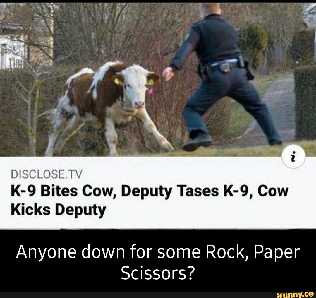 DISCLOSE TV Bites Cow, Deputy Tases Cow
Kicks Deputy
Anyone down for some Rock, Paper
Scissors?