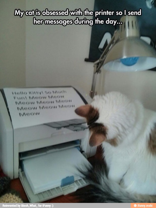 [My/catjisjobsessedIwithithe printer so I send
'her/messages during the day..