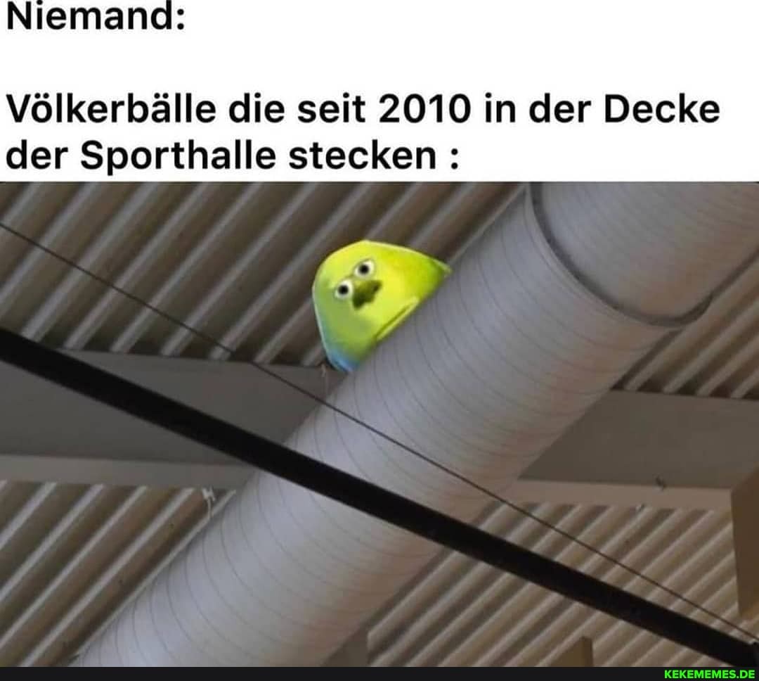 Niemand
Völkerbälle die seit 2010 in der Decke der Sporthalle stecken: