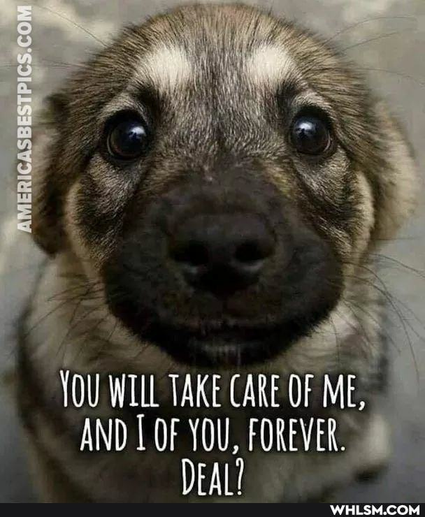 AMERICASBESTPICS.COLM.
YOU WILL TAKE CARE OF ME,
AND OF YOU, FOREVER.