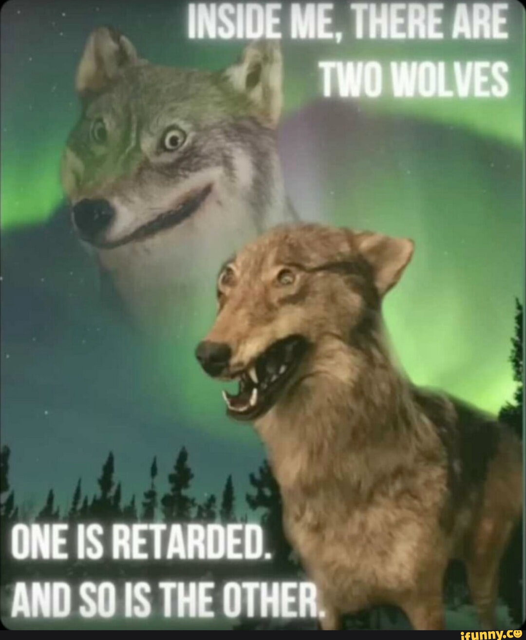 TWO WOLVES ONE RETARDED AKIN COIS TUD ATER - iFunny
