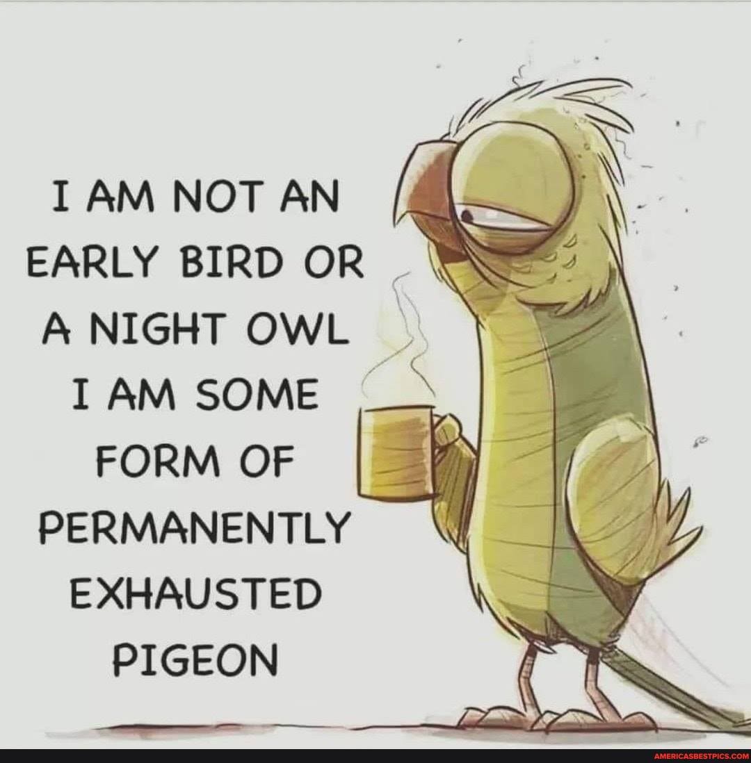 AM NOT AN EARLY BIRD OR A NIGHT OWL
AM SOME FORM OF PERMANENTLY EXHAUSTED PIGEON