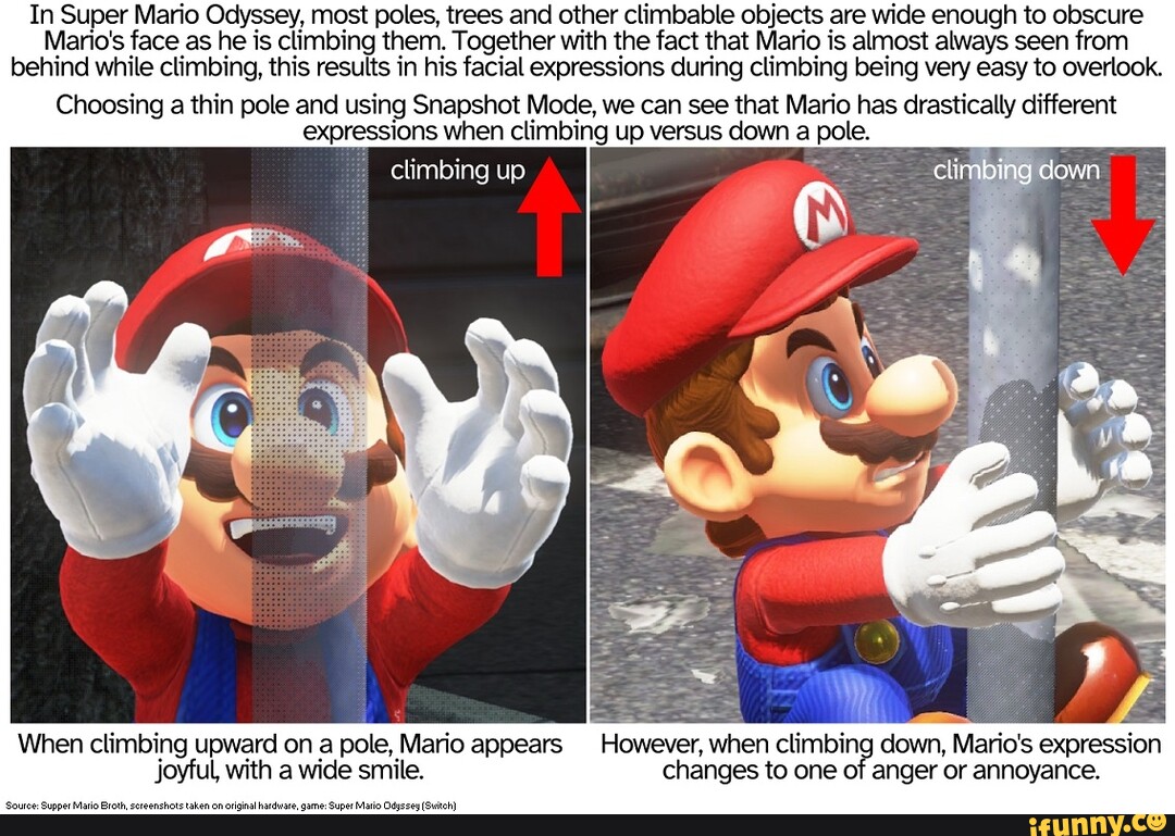 In Super Mario Odyssey, most poles, trees and other climbable objects