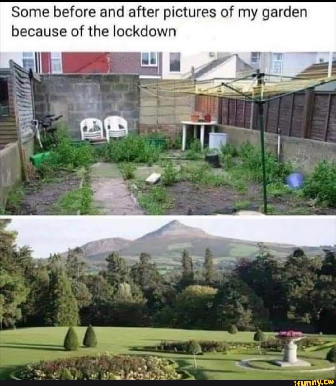 Some before and after pictures of my garden because of the lockdown
