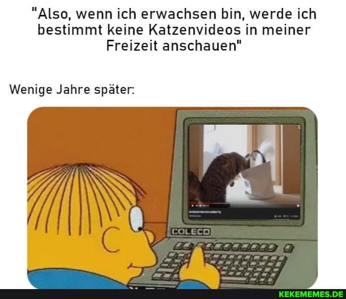 "Also, wenn ich erwachsen bin, werde ich bestimmt keine Katzenvideos in meiner
Freizeit anschauen"
Wenige Jahre später:
