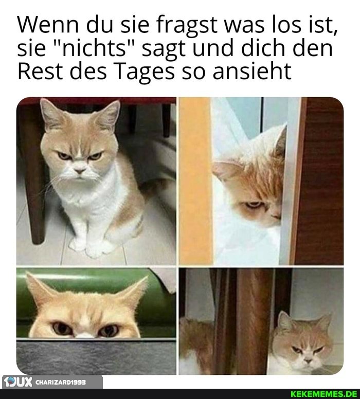 Wenn du sie fragst was los ist, sie "nichts" sagt und dich den
Rest des Tages so ansieht