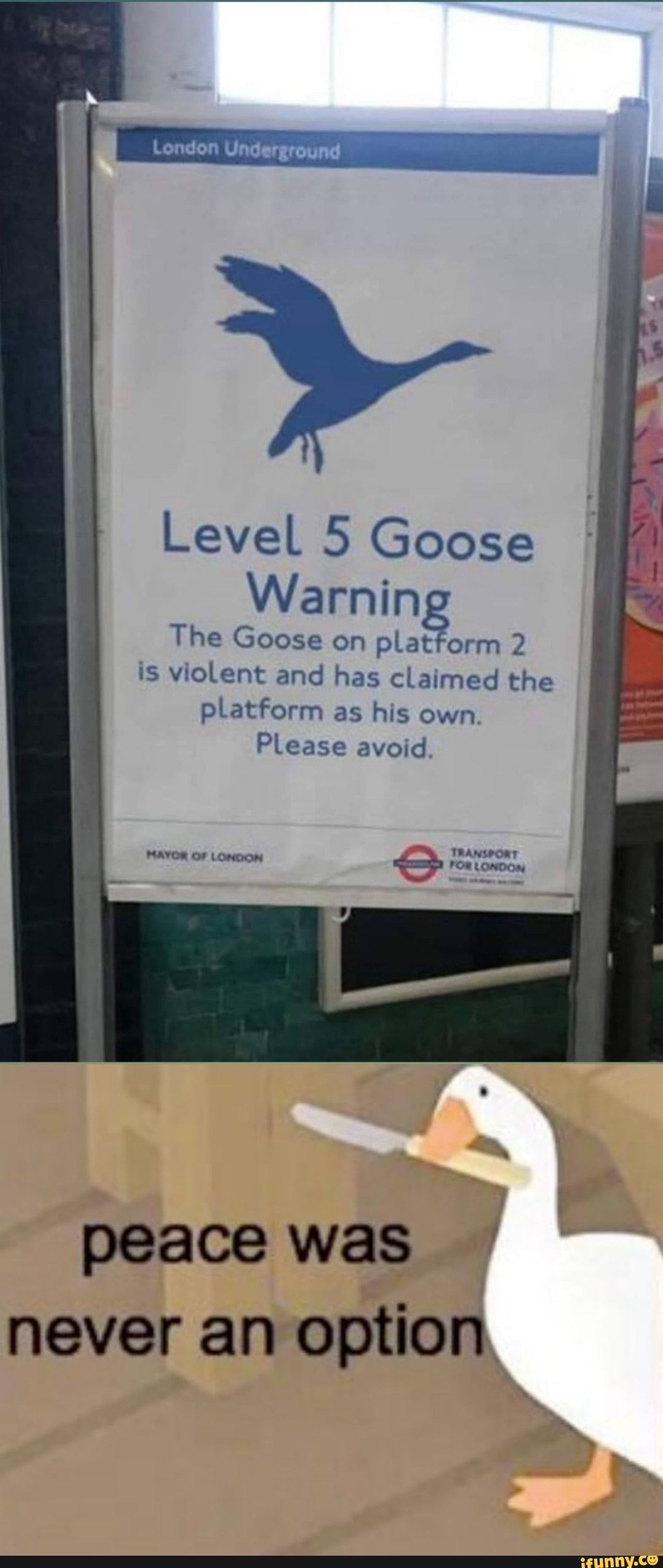 Level 5 Goose Warning tform 2 The Goose on pla is violent and has
