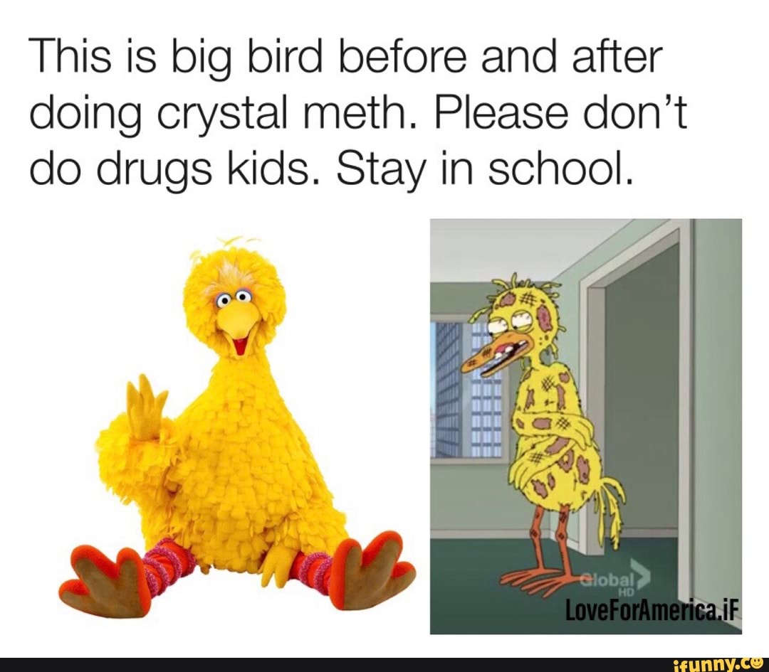 This Is Big Bird Before And After Doing Crystal Meth Please Dont Do