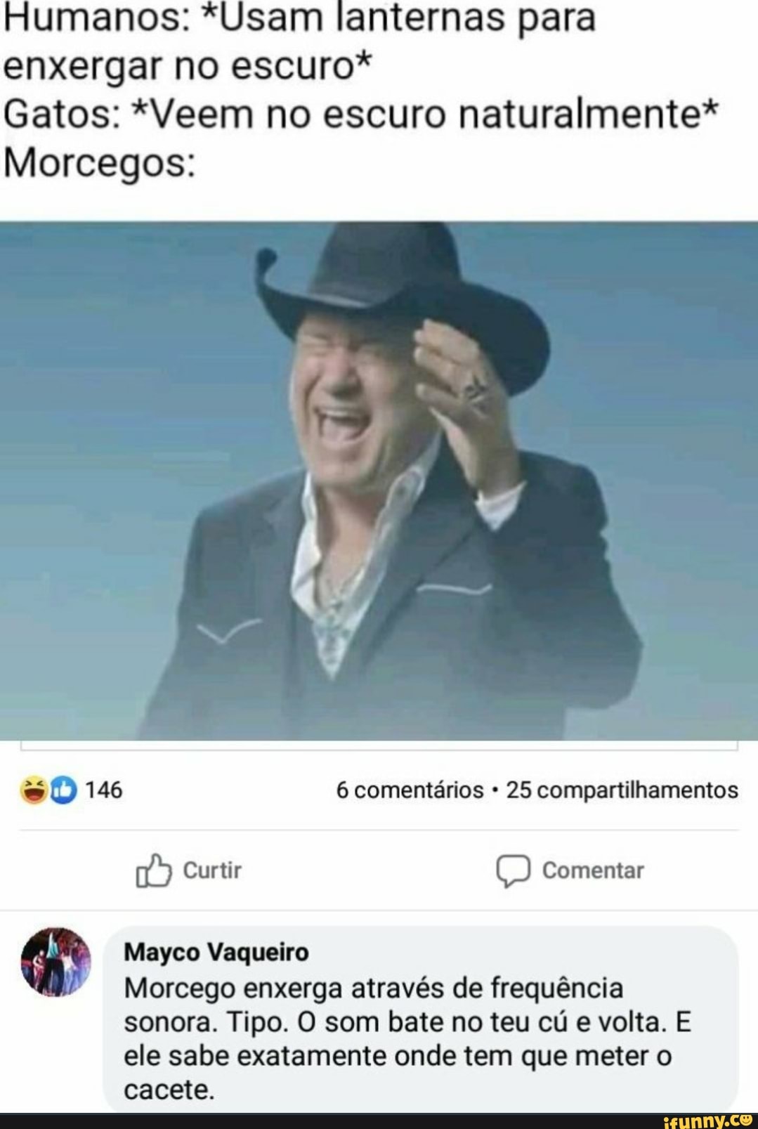 umanos: *Usam lanternas para
enxergar no escuro*
Gatos: *Veem no escuro naturalmente*
Morcegos:
e Mayco Vaqueiro
"Morcego enxerga através de frequência
sonora. Tipo. O som bate no teu cú e volta. E
ele sabe exatamente onde tem que meter o
cacete.