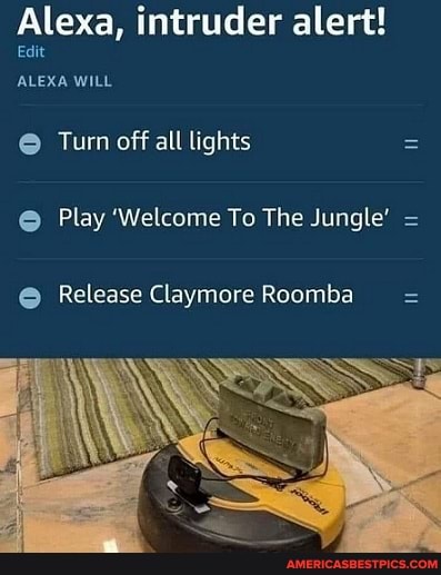 Alexa, intruder alert!
Edit
ALEXA WILL
Turn off all lights =
Play 'Welcome To The Jungle'
Release Claymore Roomba