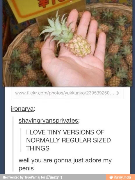 ironarya:
shavingryansprivates:
I LOVE TINY VERSIONS OF
NORMALLY REGULAR SIZED
THINGS
well you are gonna just adore my
penis