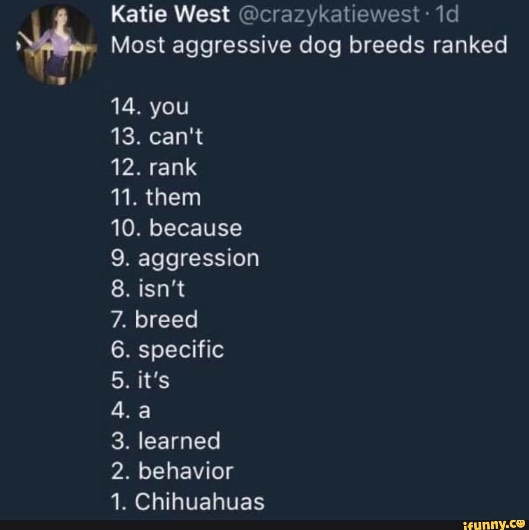 crazykatiewest-most-aggressive-dog-breeds-ranked-you-12-rank-11