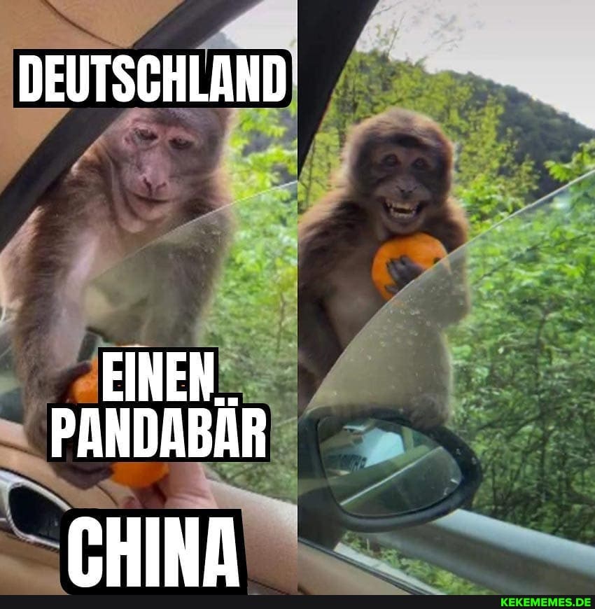 DEUTSCHLAND EINEN.
PANDABAR