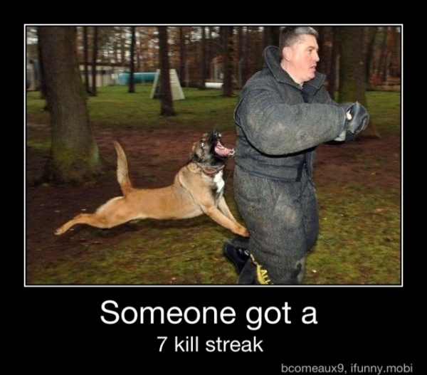 Someone gota
a
7 kill streak - Someone got a
7 kill streak