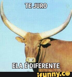 EEIPANÉID IFERENTE