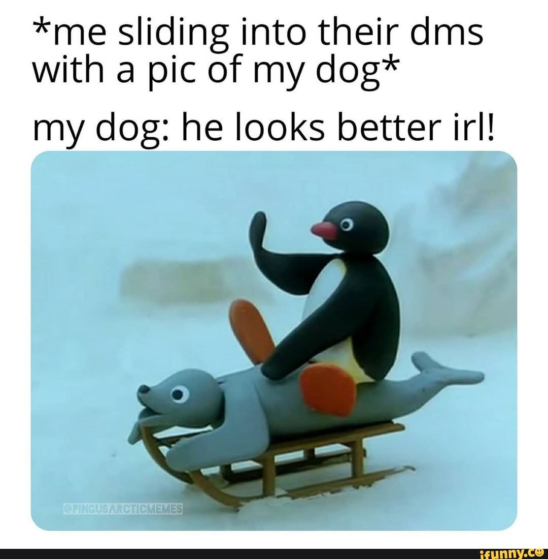 Pingu Porn