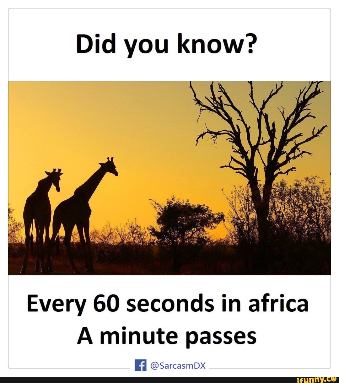 Did you know? Every 60 seconds in africa A minute passes Ed SarcasmDX iFunny