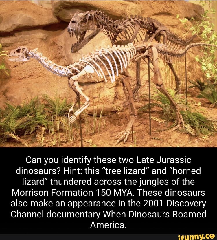 Can you identify these two Late Jurassic dinosaurs? Hint: this 