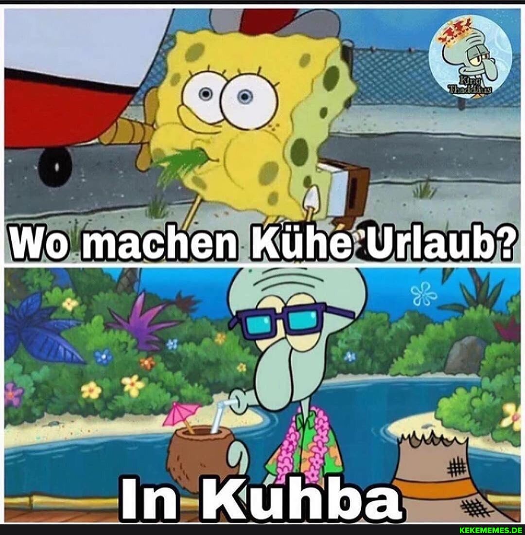 Wo machen Kühe Urlaub?