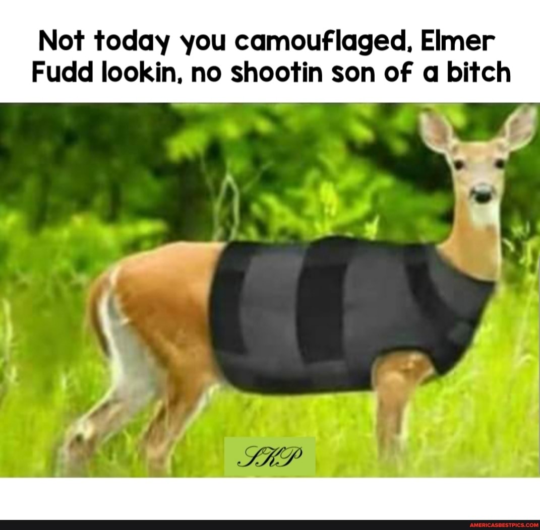 Not today you camouflaged, Elmer
Fudd lookin, no shootin son of a bitch
rr