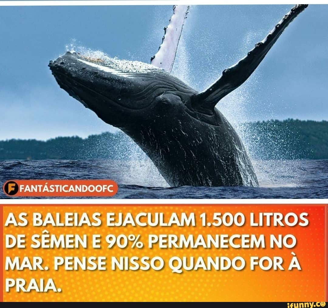 AS BALEIAS EJACULAM 1.500 LITROS DE SÊMEN E 90% PERMANECEM NO MAR. PENSE NISSO QUANDO FOR PRAIA.