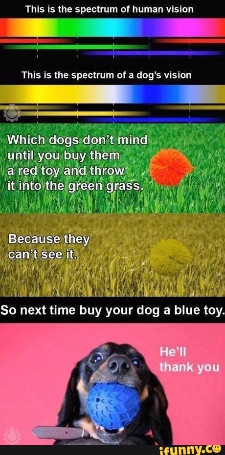 This is the spectrum of human vision