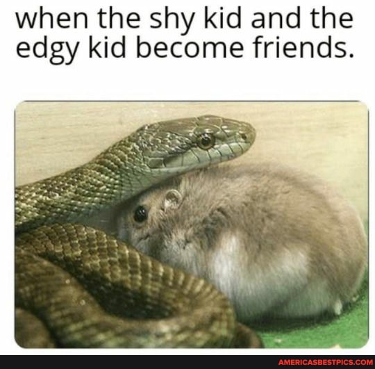 when the shy kid and the edgy kid become friends.